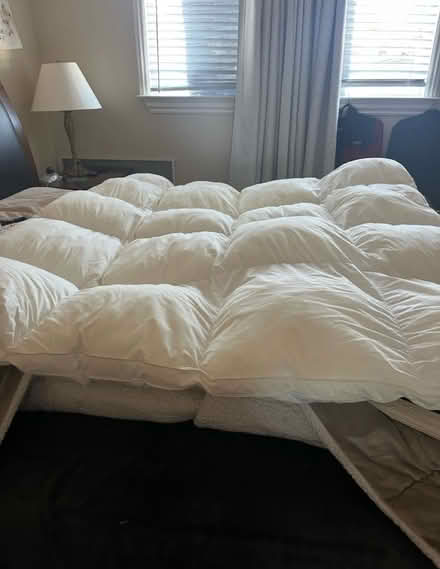 Photo of free Comforter (Campbell/Winchester) #1