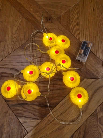 Photo of free Assorted Fairy lights (Buggs Bottom RG4) #1
