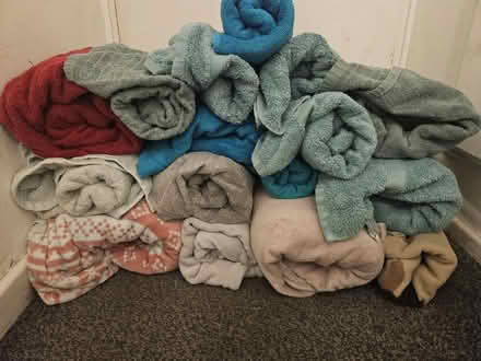 Photo of free Throws and towels for pet charities (Liverpool L17) #1