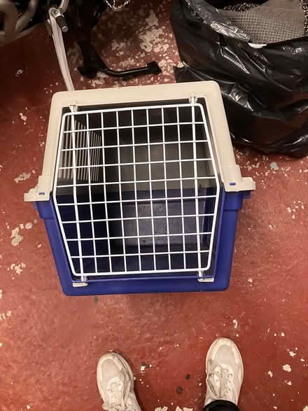 Photo of free Large cat basket (Drighlington (nr morley) BD11) #2