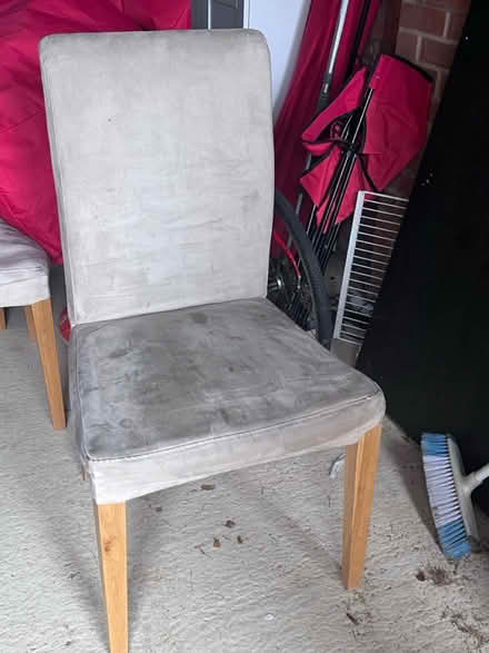 Photo of free Dining room chairs (AL4) #1
