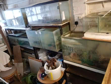 Photo of free "fish tanks & accessories" (Loughton & Woodford IG10) #1