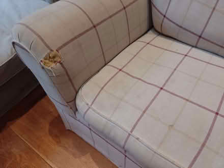 Photo of free Sofa bed (Wheatley OX33) #2