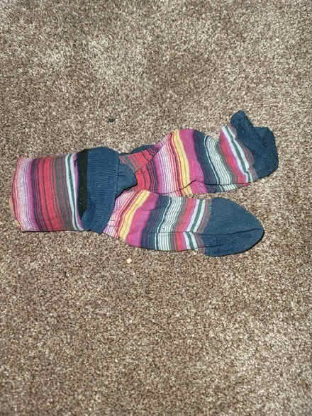 Photo of free Socks 6 to 7 (CV2) #1