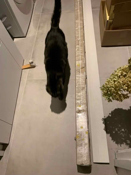 Photo of free Skirting boards (Ewelme OX10) #1