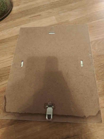 Photo of free Frog poster (Derby DE24) #2