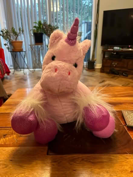 Photo of free Various soft toys (Ashton CH3) #4