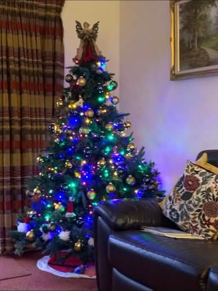 Photo of free Artificial Christmas tree (Basingstoke RG22 Hatch Warren) #1