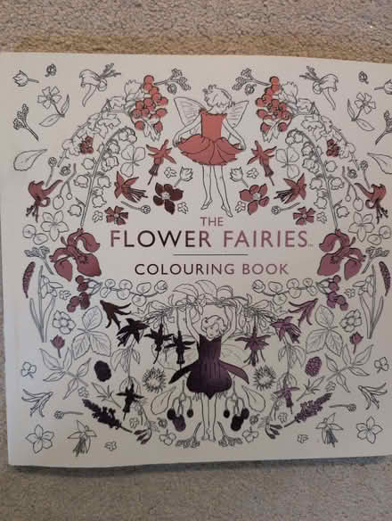 Photo of free flower fairies colouring book (Dogkennel Green RH5) #1