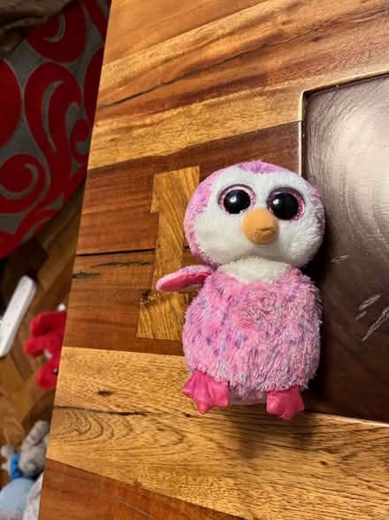 Photo of free Various soft toys (Ashton CH3) #3