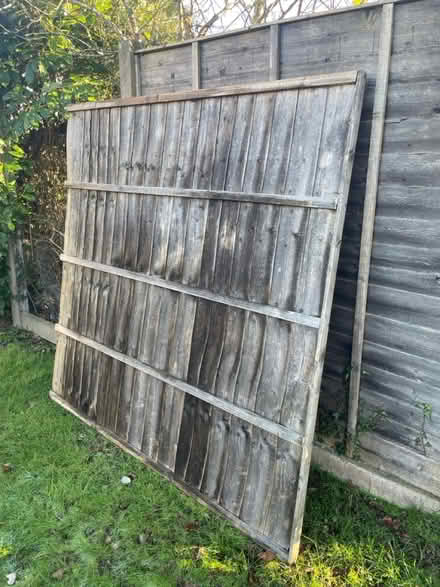 Photo of free 2 Fence Panels (Waterlooville) #2
