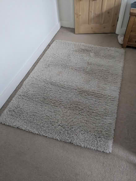 Photo of free Shag pile rug (Penge SE20) #1