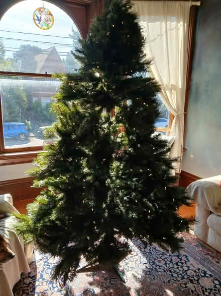 Photo of free Pre-lit tree, 7.5 ft (West End, Near Maya Lin) #1