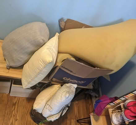 Photo of free 5 foam pillows + foam stuffing (Mount Pleasant DC) #1