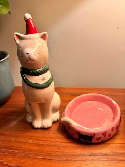 Photo of free Christmas cat (EH4 Craigleith) #2