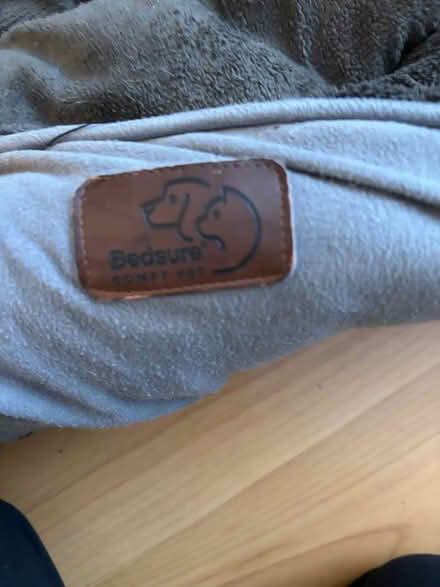 Photo of free Dog bed (medium) (Stretton Sugwas, HR4) #4