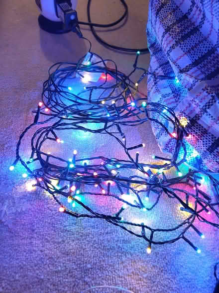 Photo of free Fairy lights (Leeds LS13) #1