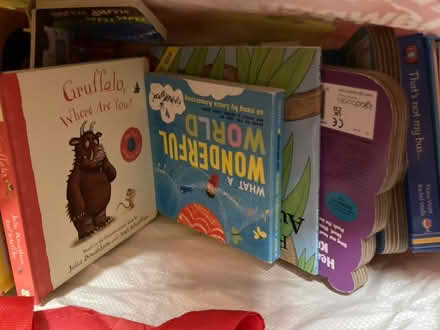 Photo of free Bag of toddler books (Bonnyrigg EH19) #3