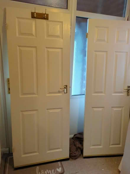 Photo of free Internal doors x 2 (LE5) #1