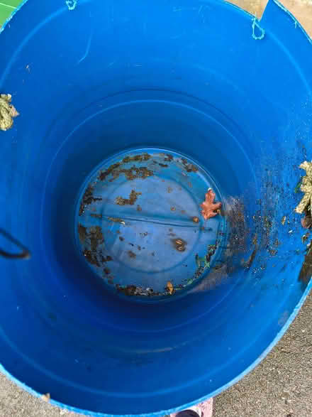 Photo of free Blue Carbouy (New Milton BH25) #2