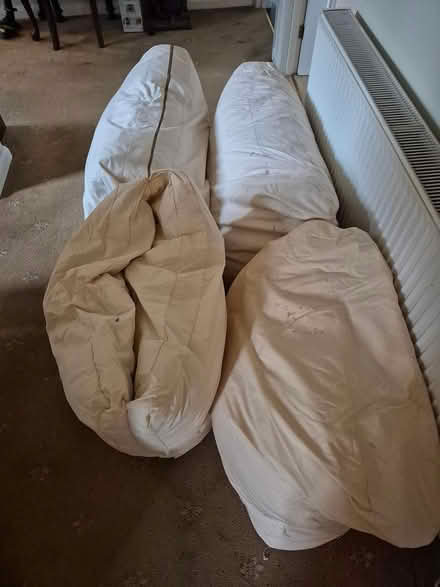 Photo of free CUSHIONS (Feather Filled) (Uckfield) #1