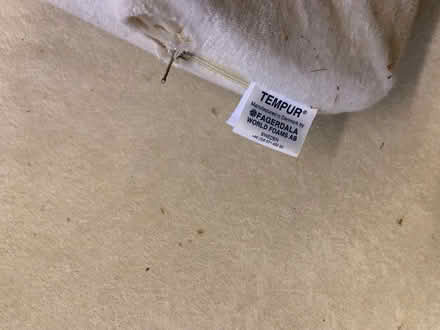 Photo of free 2 single tempur mattress toppers (Hedgerley SL2) #3