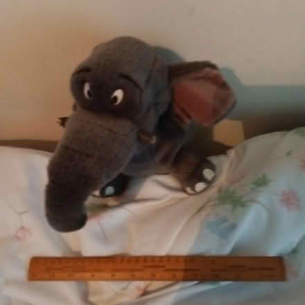 Photo of free Elephant soft toy (Crawley RH10) #1
