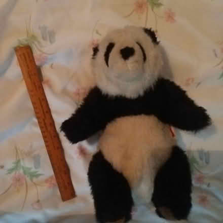 Photo of free Panda squashy teddy (Crawley RH10) #2