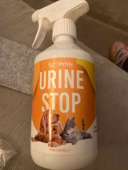 Photo of free Urine Stop puppy (killiney) #1