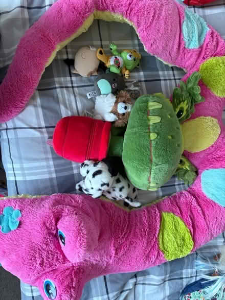 Photo of free Soft toys (Dudley NE23) #1