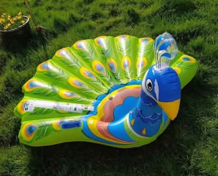 Photo of free Huge Peacock Inflatable. Complete (Sidcup DA14) #3