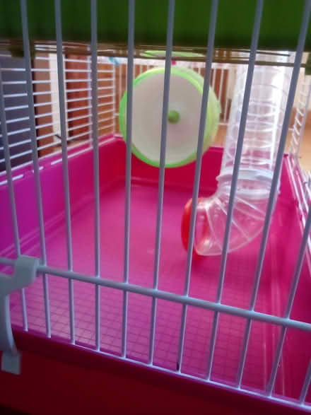 Photo of free Hamster cage 2tier with tubes (RG30) #4