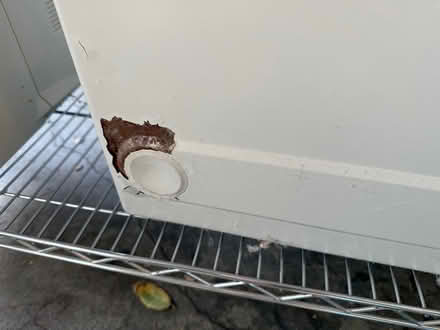 Photo of free Sentry Fire Safe (Near Notre Dame) #3