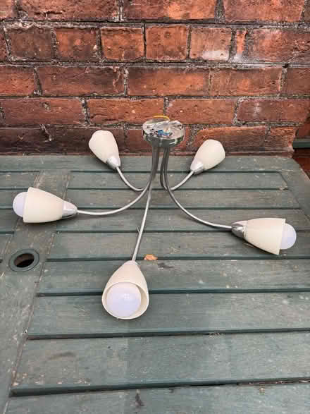 Photo of free Ceiling light fitting (Bidston Hill CH43) #1