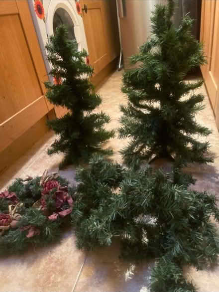 Photo of free 2 Small Xmas Trees, a Wreath & Garland (Bracknell Forest RG12) #1