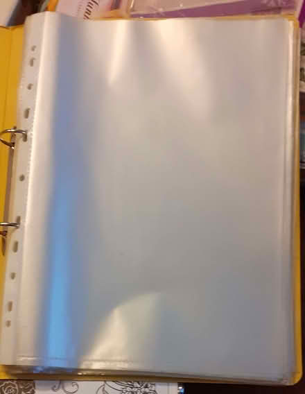 Photo of free Plastic wallet (Beulah Hill CR7) #1