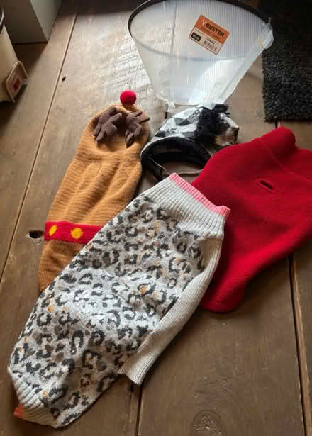 Photo of free Assorted dog wear + 15cm collar (Farnham Common, Bucks, SL2) #1