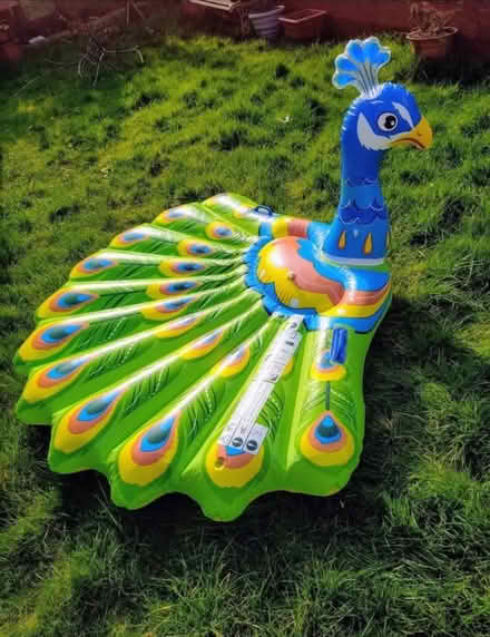 Photo of free Huge Peacock Inflatable. Complete (Sidcup DA14) #4