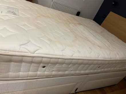 Photo of free Double bed & mattress (Norwich) #1