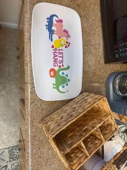 Photo of free Plastic plate and picnic basket (newark) #1