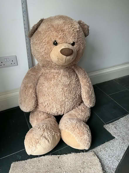 Photo of free Large teddy bear (Hest Bank LA2) #3
