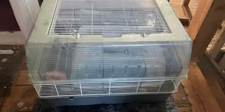 Photo of free big hamster cage + accessories (Botley OX2) #1