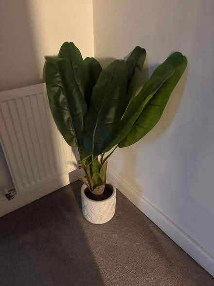 Photo of free Large fake plant (L36 Roby) #1