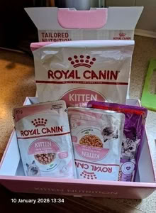 Photo of free Food for kittens (Plumstead SE18) #2