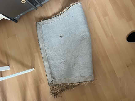 Photo of free Mat (100cm x 200cm approx) (Onslow Village) #3