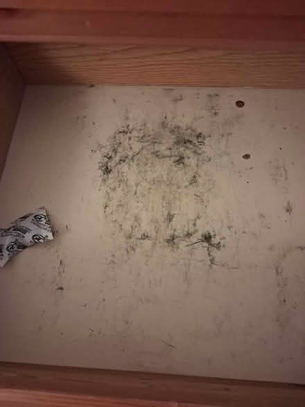 Photo of free Tall chest of drawers (Stratford) #3