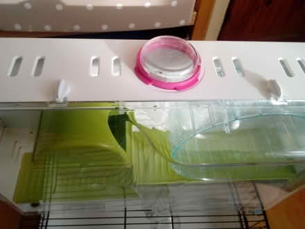 Photo of free Hamster cage (RG30) #1