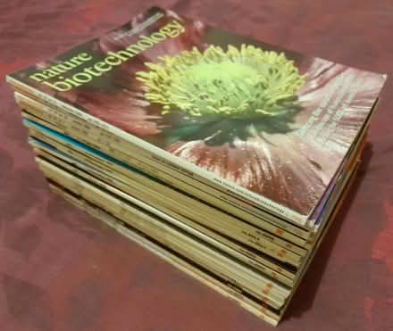 Photo of free Nature (Alvaston DE24) #1