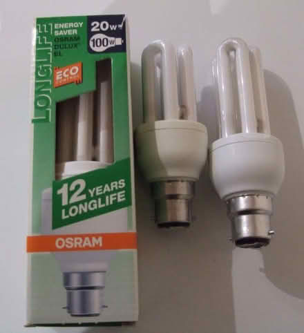 Photo of free Selection of bulbs (Hednesford WS11) #3