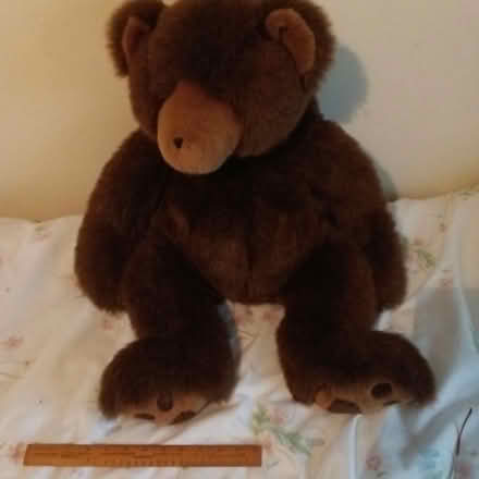 Photo of free Giant brown bear soft toy (Crawley RH10) #3